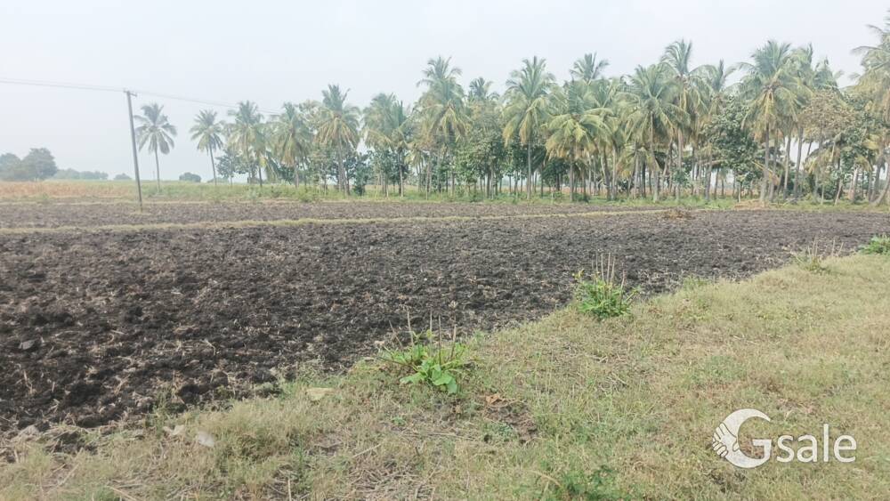 4 Acres - Agriculture Land - Direct Owner