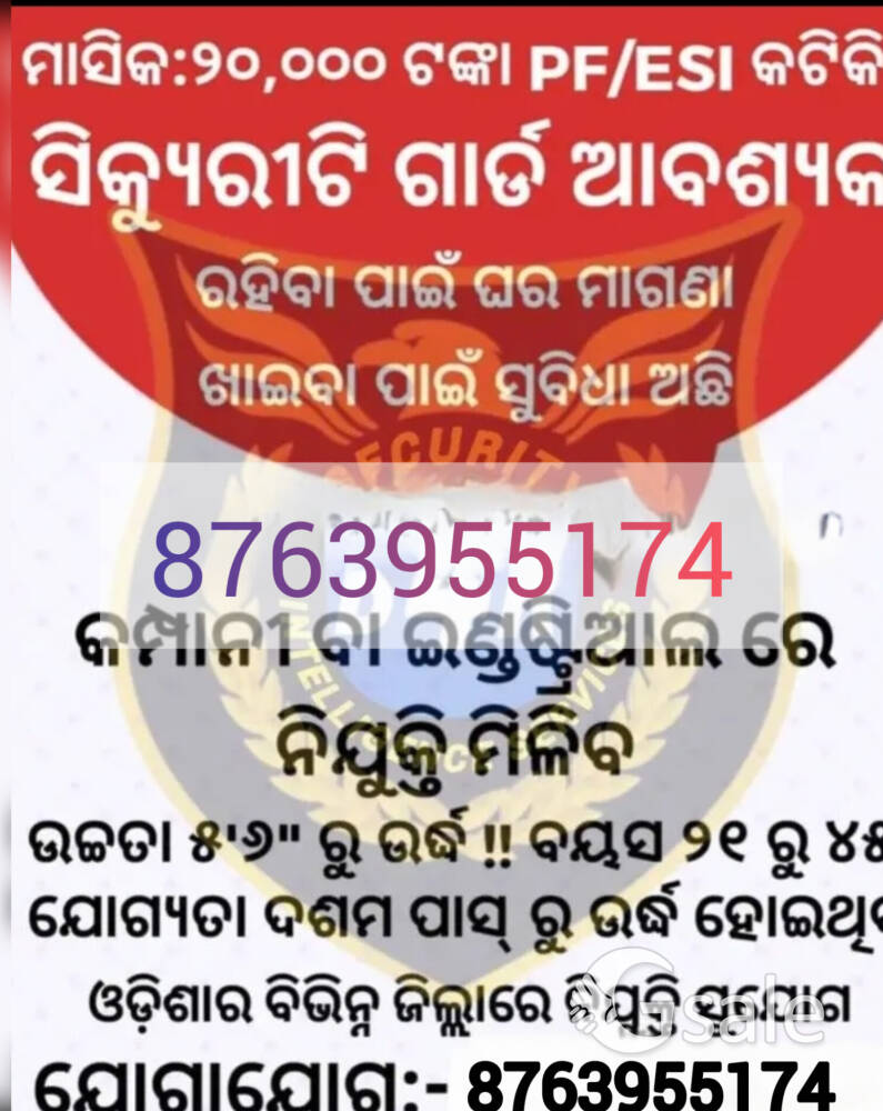 siqurity guard, supervisor....