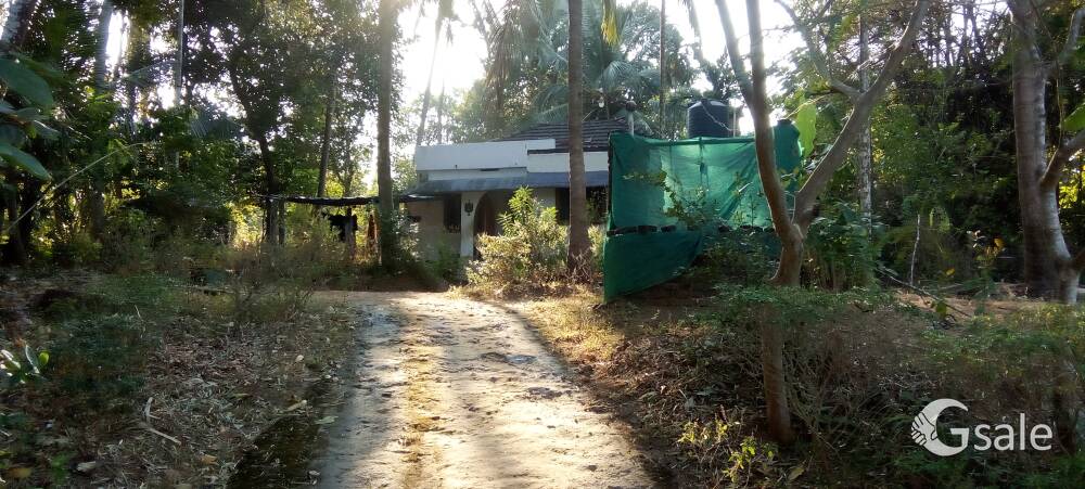 29cent place sale plots for sale 