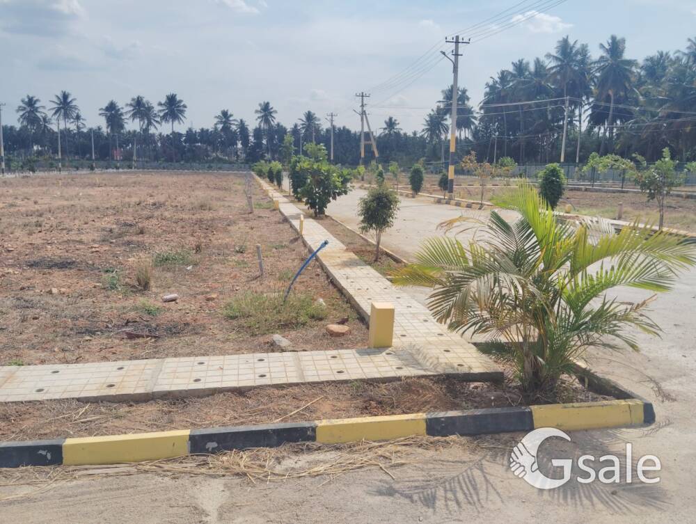 your dream home with a right polt ✨