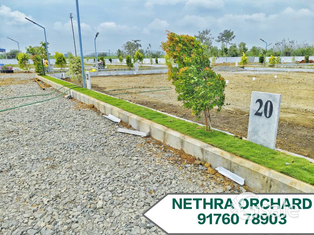 Plots For Sale in Singaperumal Koil 