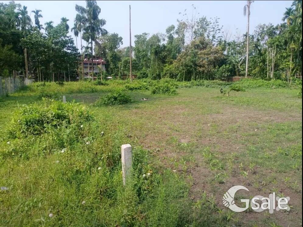 miyadi patha land 1powa