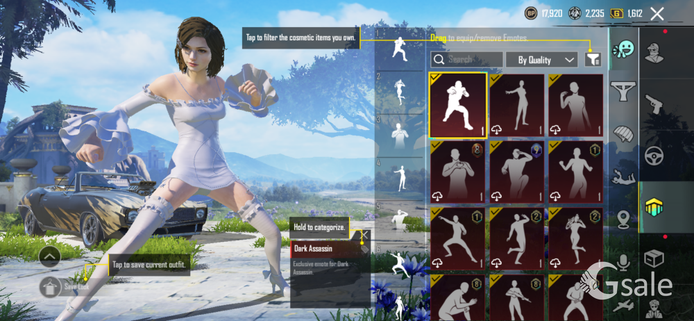 BATTLEGROUND ACCOUNT (FULL PROFF)