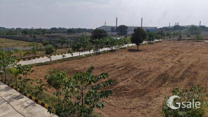 Residencial / Investment purpose Plots