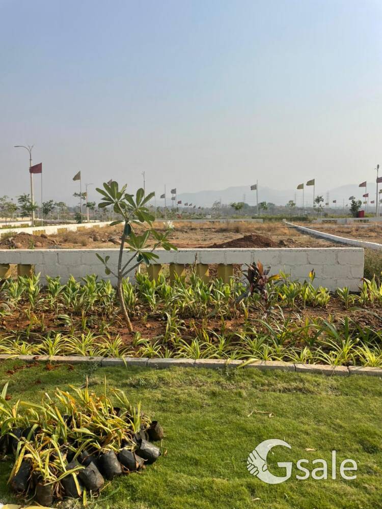 N/A plot individual 7/12 