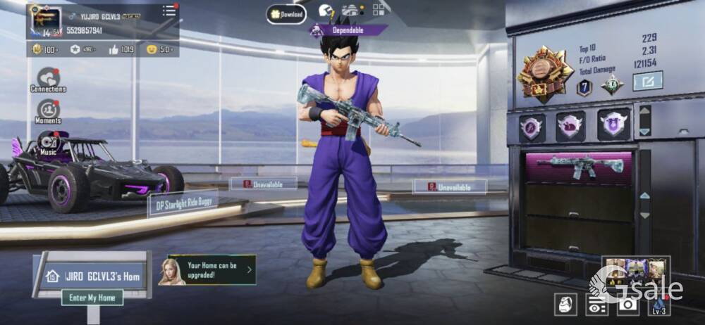 Rare item and outfits 