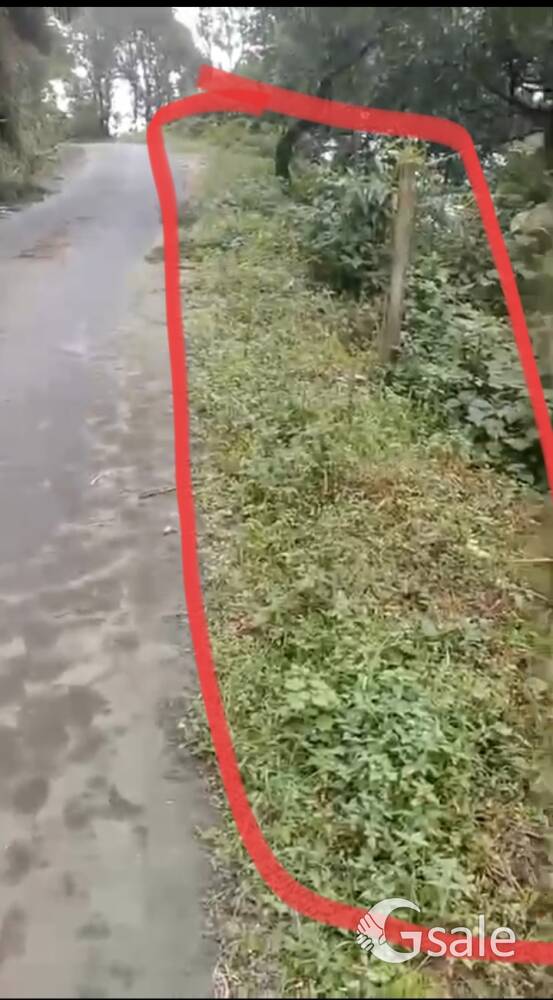 1 acre Roadside General Land for Urgent Sale at Jhandi, near Lava, Kalimpong 
