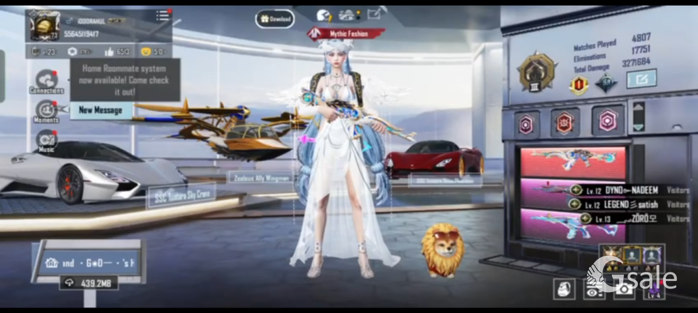 BGMI ACCOUNT (2 SUPERCAR)