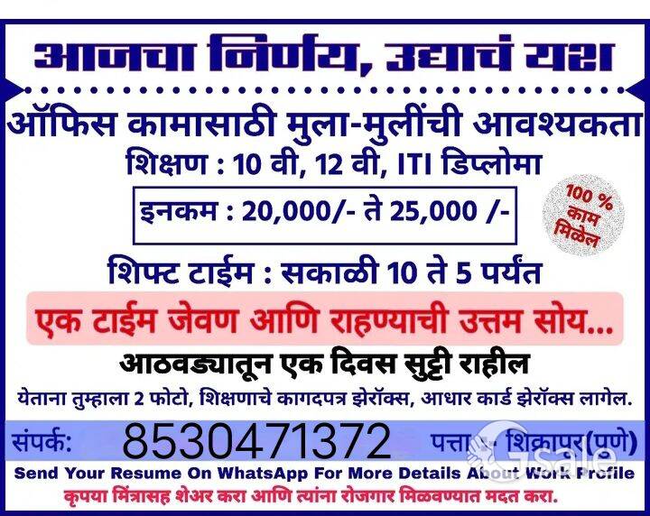 job offer for freshers and experienced person 