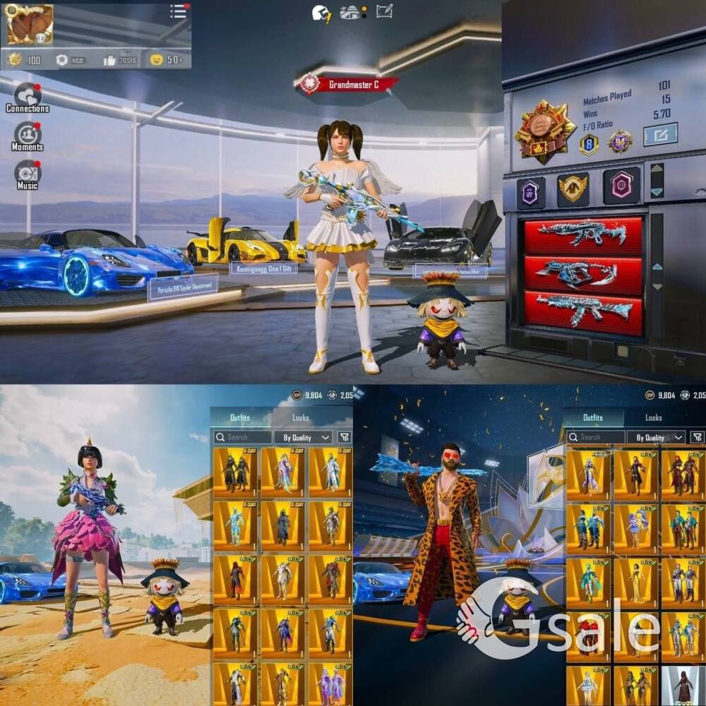 BGMI ACCOUNT (COLLECTION LEVEL 94)