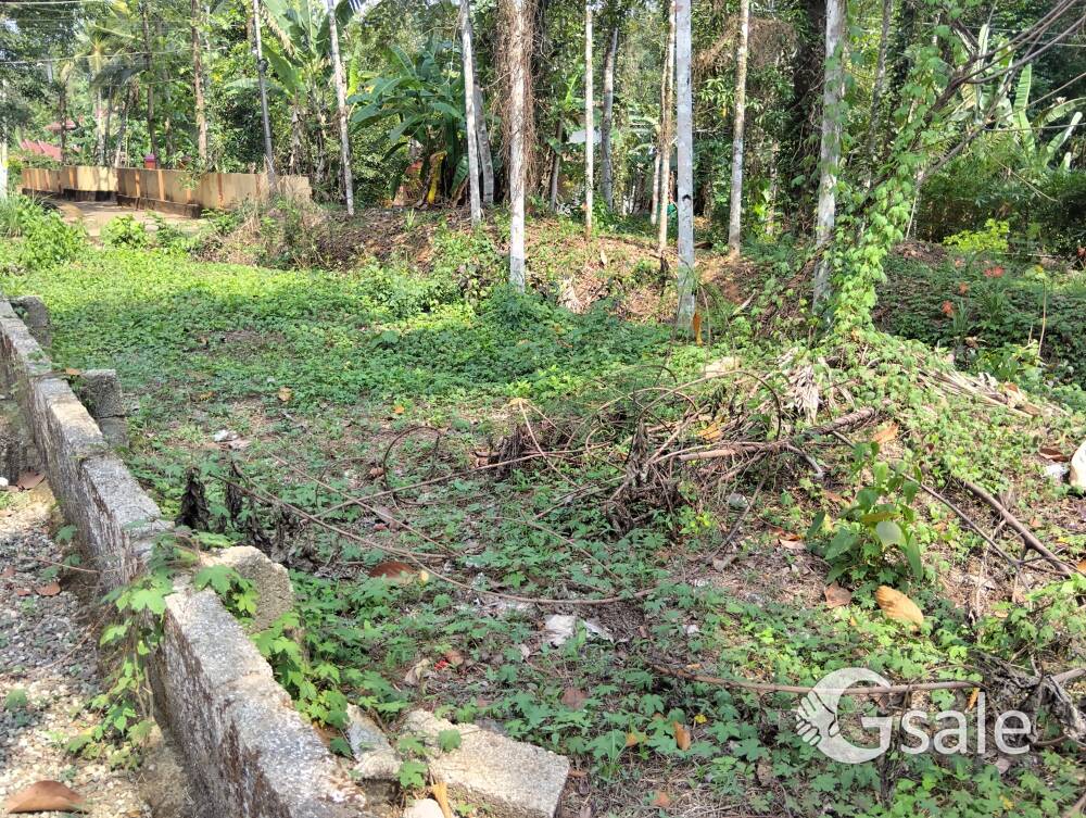 Plot for sale in Vallicode, Pathanamthitta 