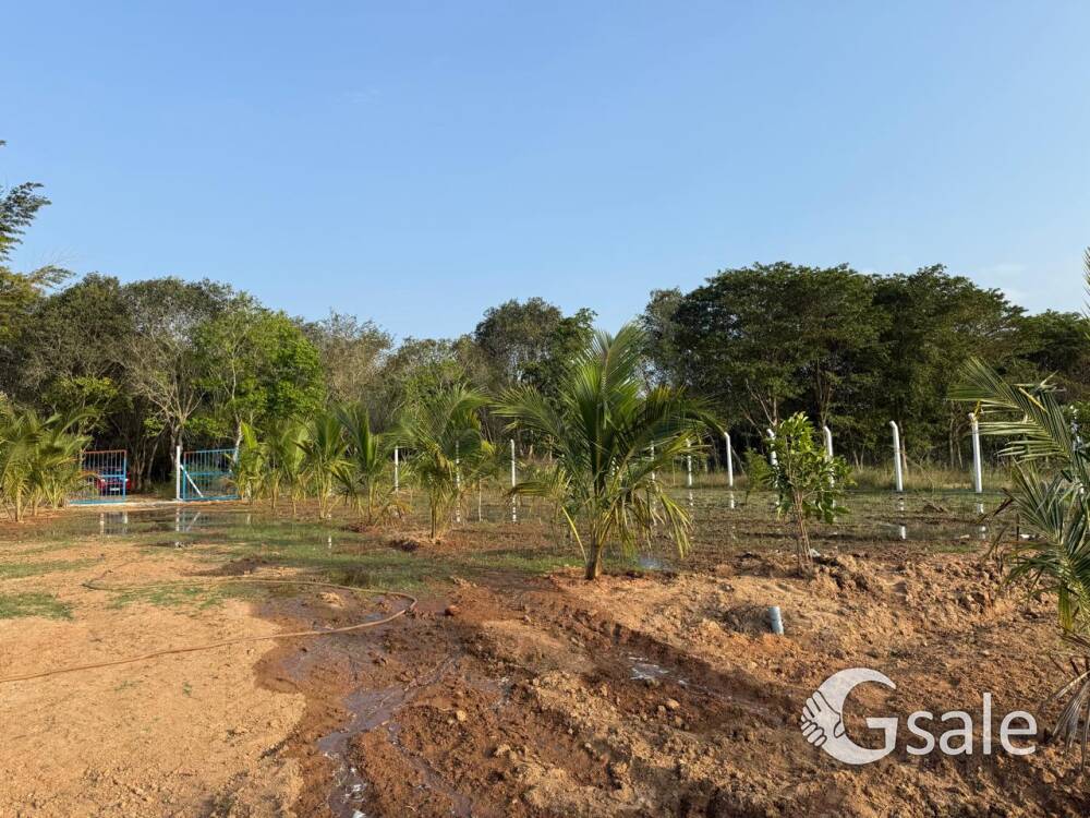 Farmland For Sale At acharapakkam