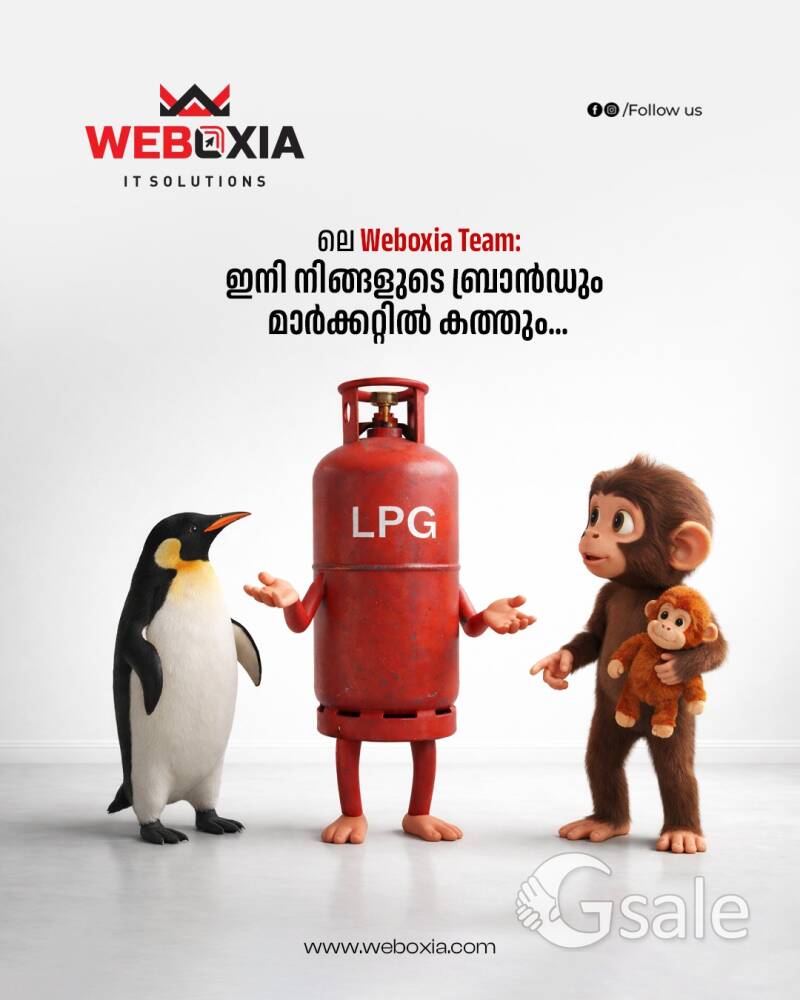 Weboxia IT Solutions - Best Digital Marketing Company in Kerala