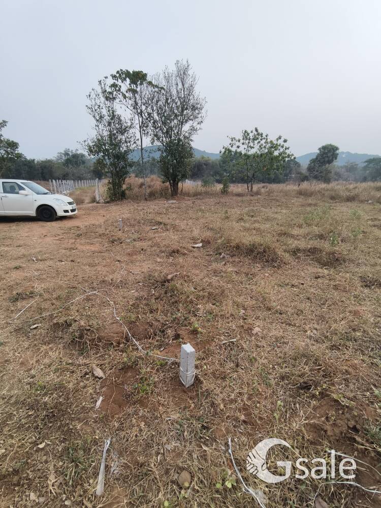 സ്ഥലം വില്പനക്ക് പട്ടാമ്പി 