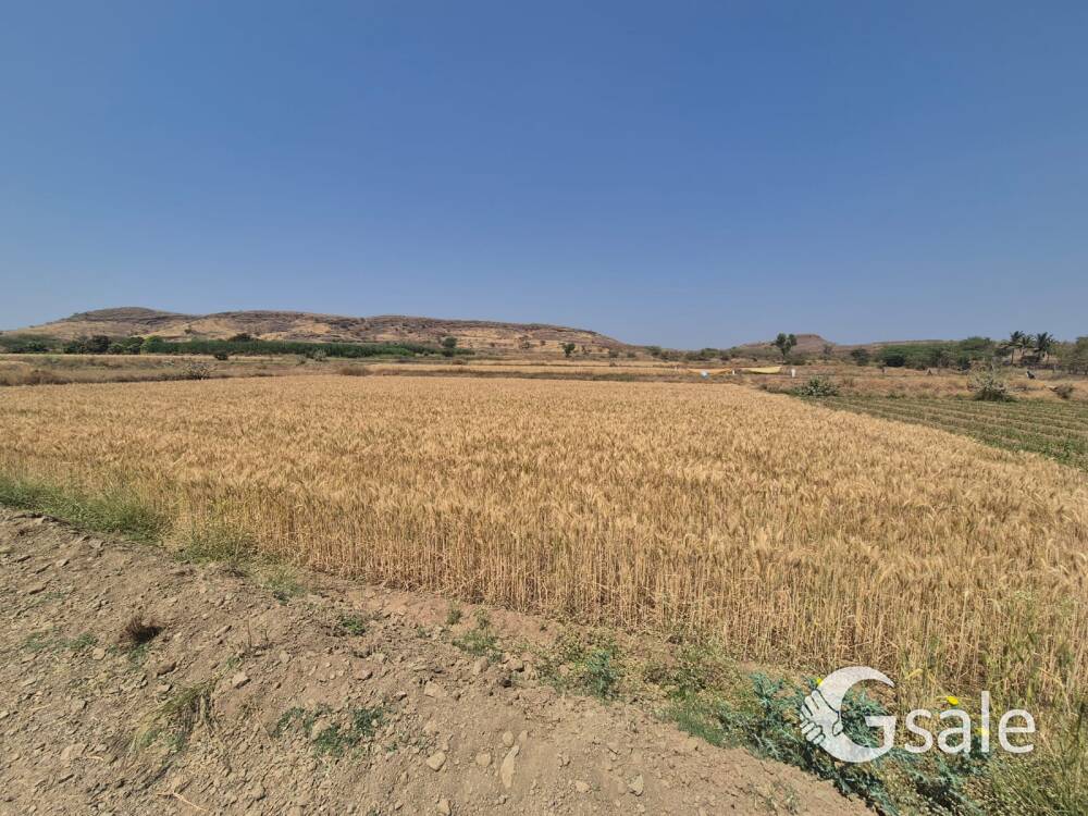 2 एकर 5 गुंठे 