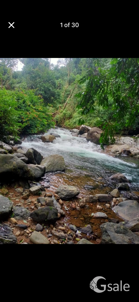 3 കോടി  രൂപക്ക് 30 Lks Year Income ഉള്ള 15 acre എസ്റ്റേറ്റ് വില്പനക്ക് @CLT- mob:8547382189-JK