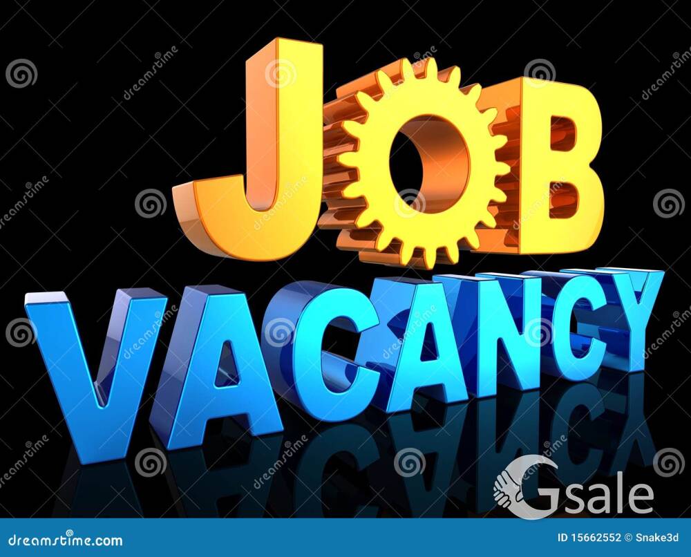 BACK OFFICE EXECUTIVE 