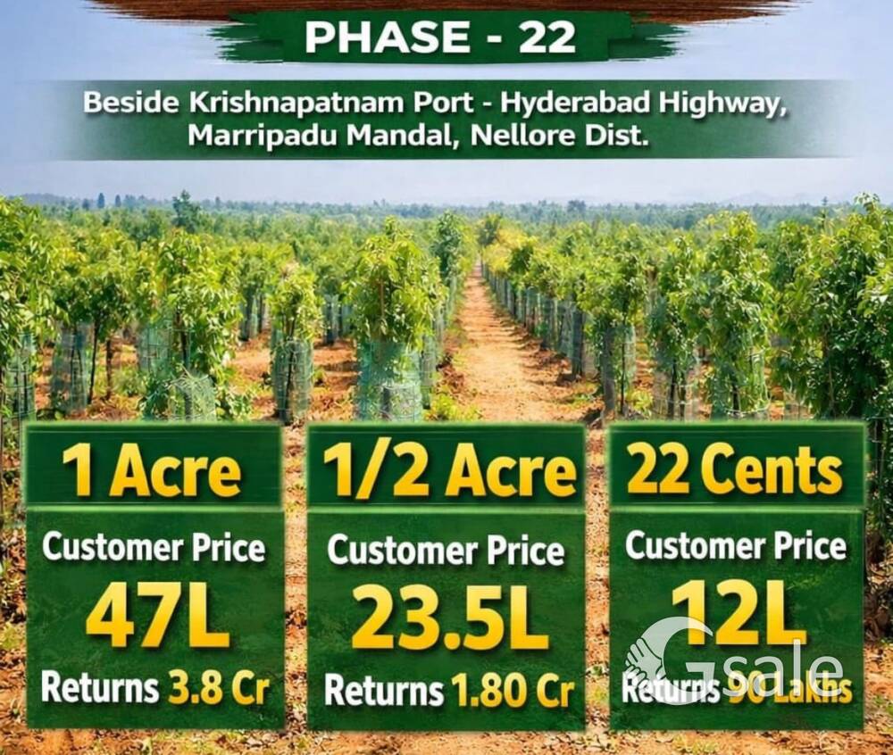 Red sandal form lands for sale in Andrapradesh.kadapa district 