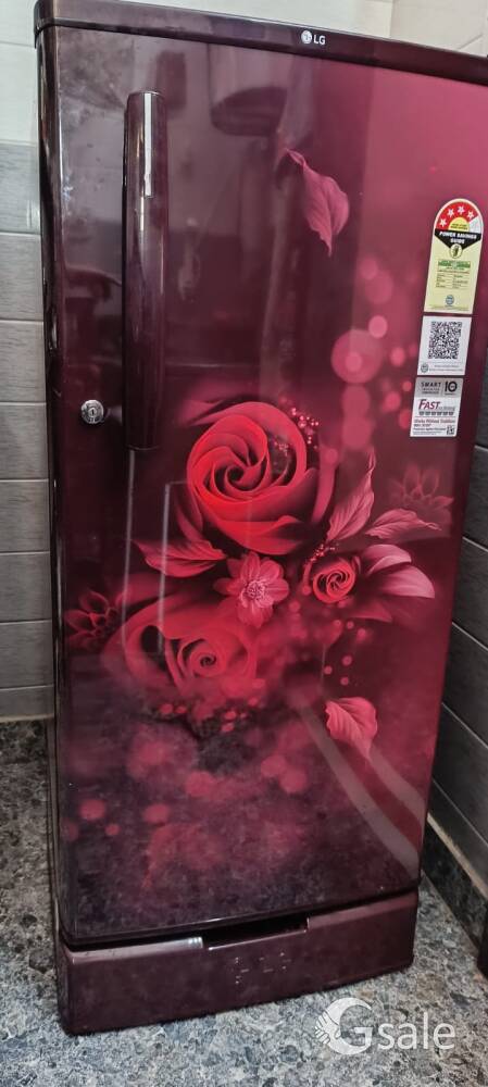 LG 185 L, 4 Star, Direct-Cool, Smart Inverter Compressor, Single Door Refrigerator (GL-D199OSEY.ESEZ