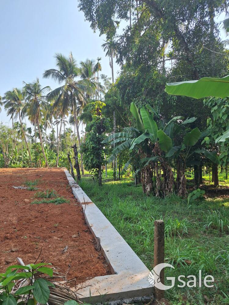 Thrissur pottor 50 cent for sale