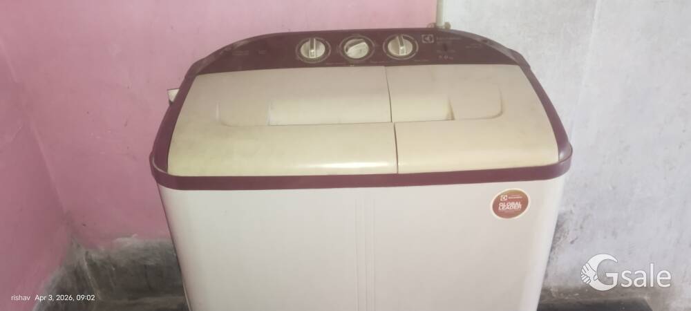 Electrolux Semi Automatic Washing machine 