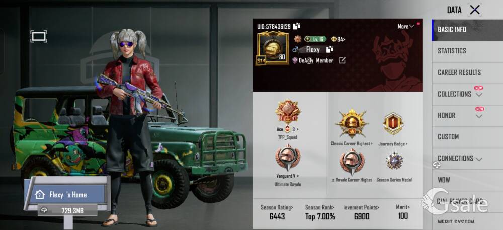 i selling my brother's bgmi account 