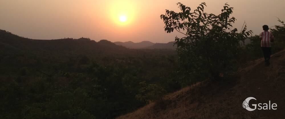 50 ACERS Land in Jambhavde Taluka Vaibhavwadi