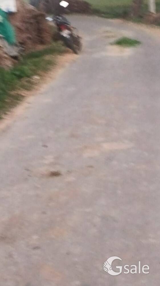 Agriculture lands for sale Attached the link road 