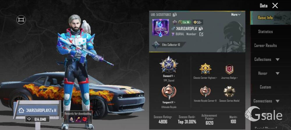 bgmi expensive account is for sale 