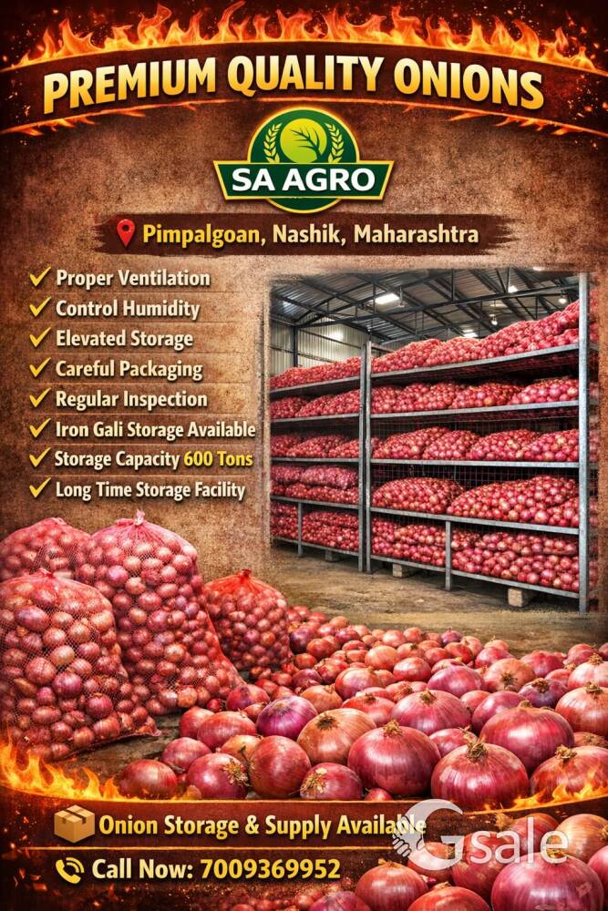 onion storage availability 