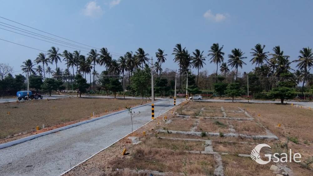 Assets R V Golden City 