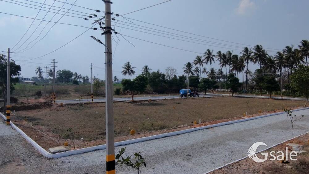 Assets RV Golden city 