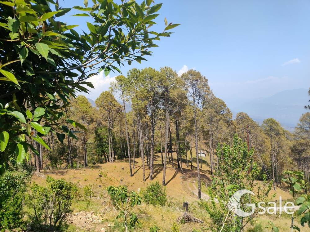 land for sale in uttarakhand