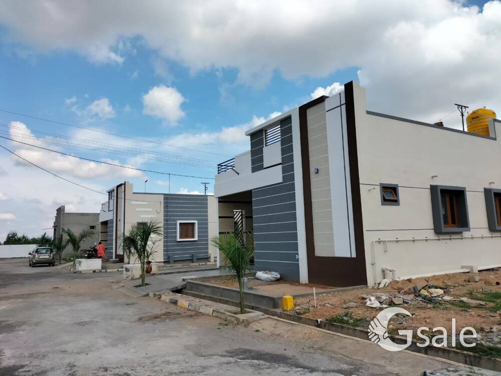 Trend Dream Nest layout plots available 