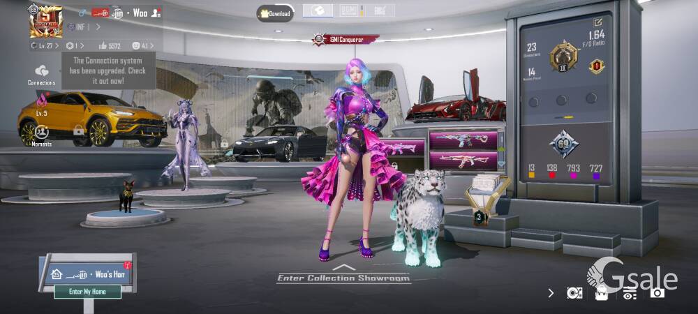 Bgmi id no.5291518260