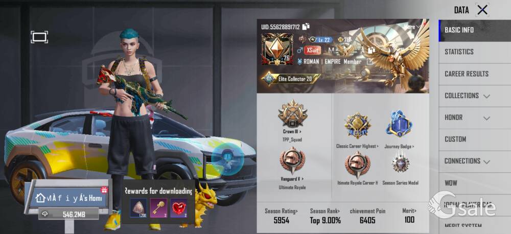 bgmi id 55628891712 chak id 