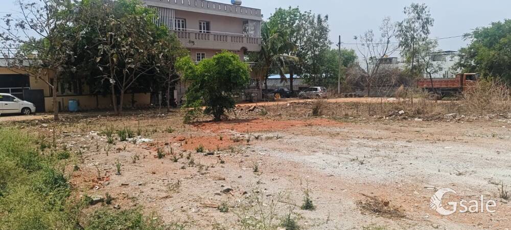 Property Plot 