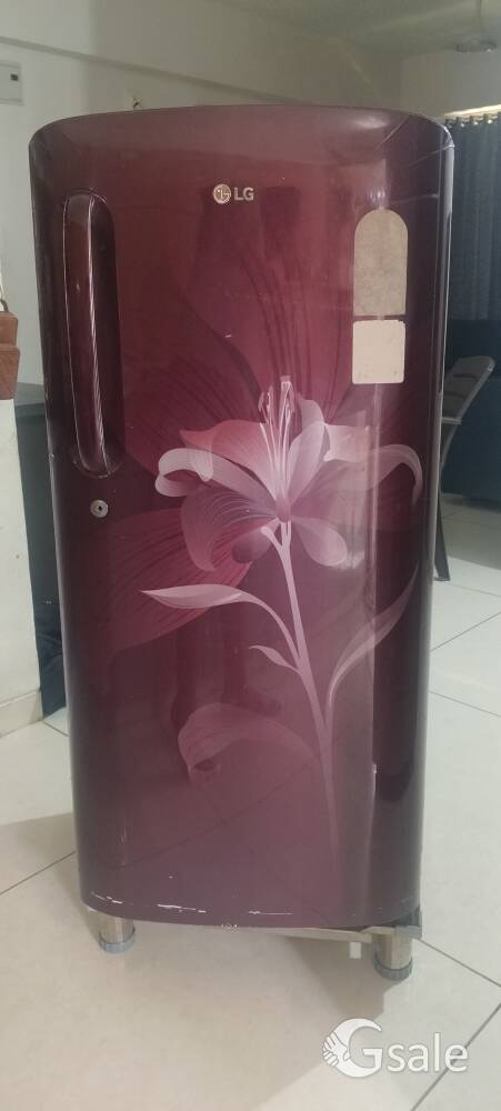 LG 190L Single Door Refrigerator - Maroon Floral Design