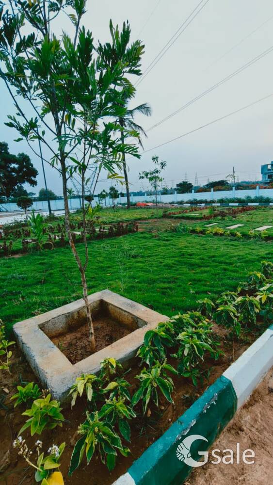 Premium Residential Plot for Sale in Sathanur – Prime Location