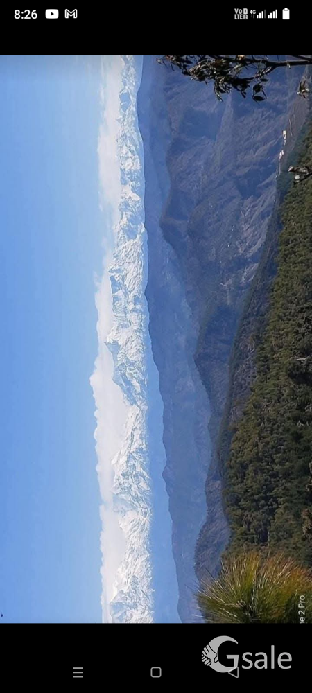 6nali land for sale in lamghra jalna almora 