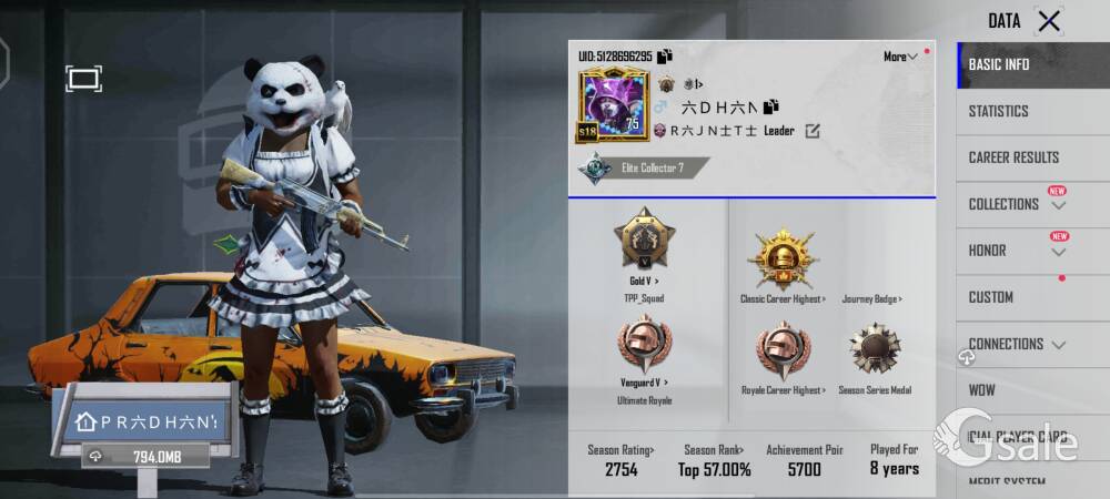 Bgmi conqueror account 