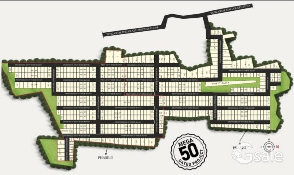 Charan's Dallar's Layout 