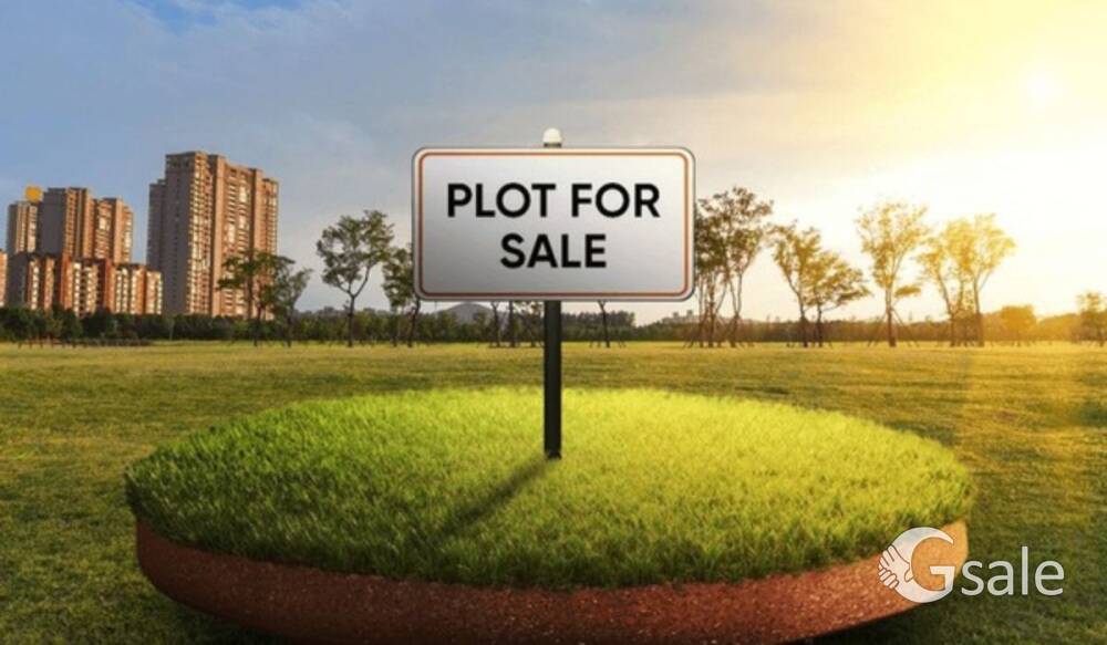 Residential with commercial plot