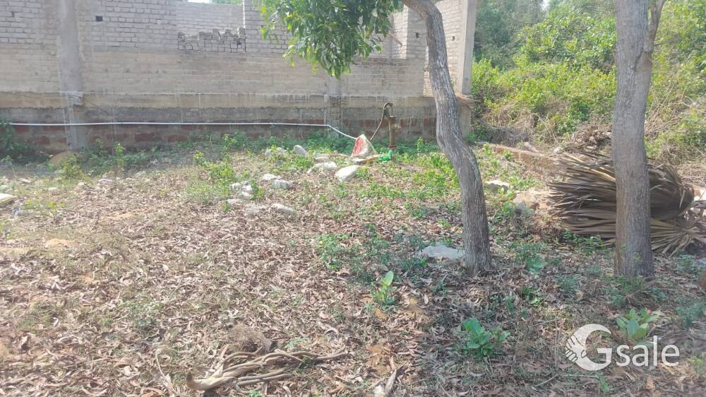 Gharabari Residential plot 