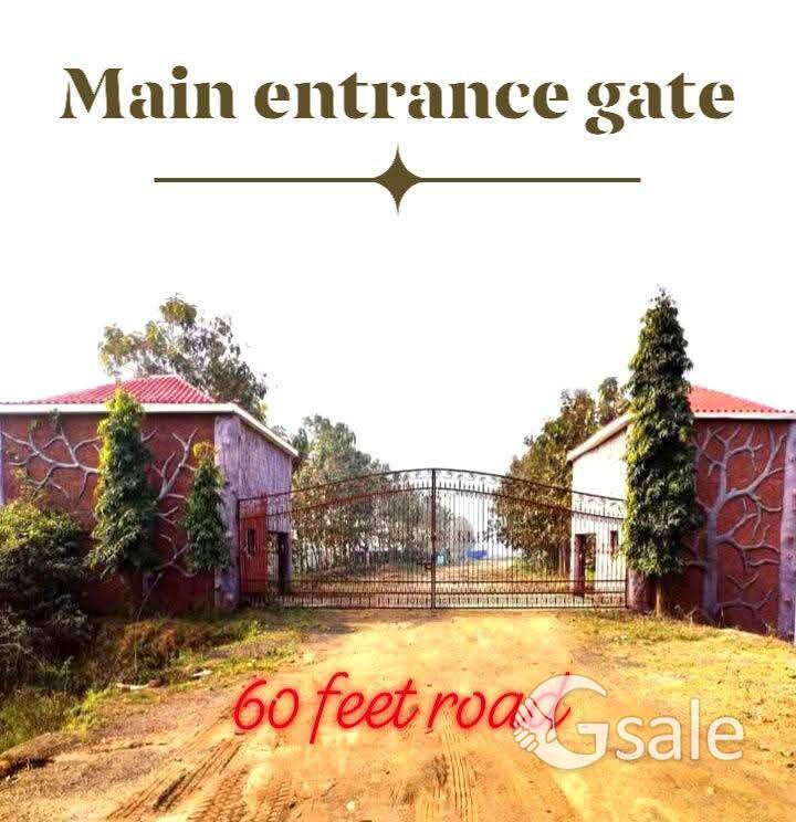 Ready to move plot in Bihta Rera Approved 👉