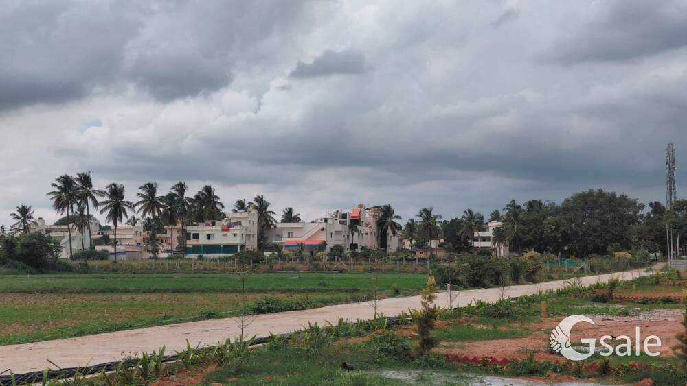 KND Sun City 
