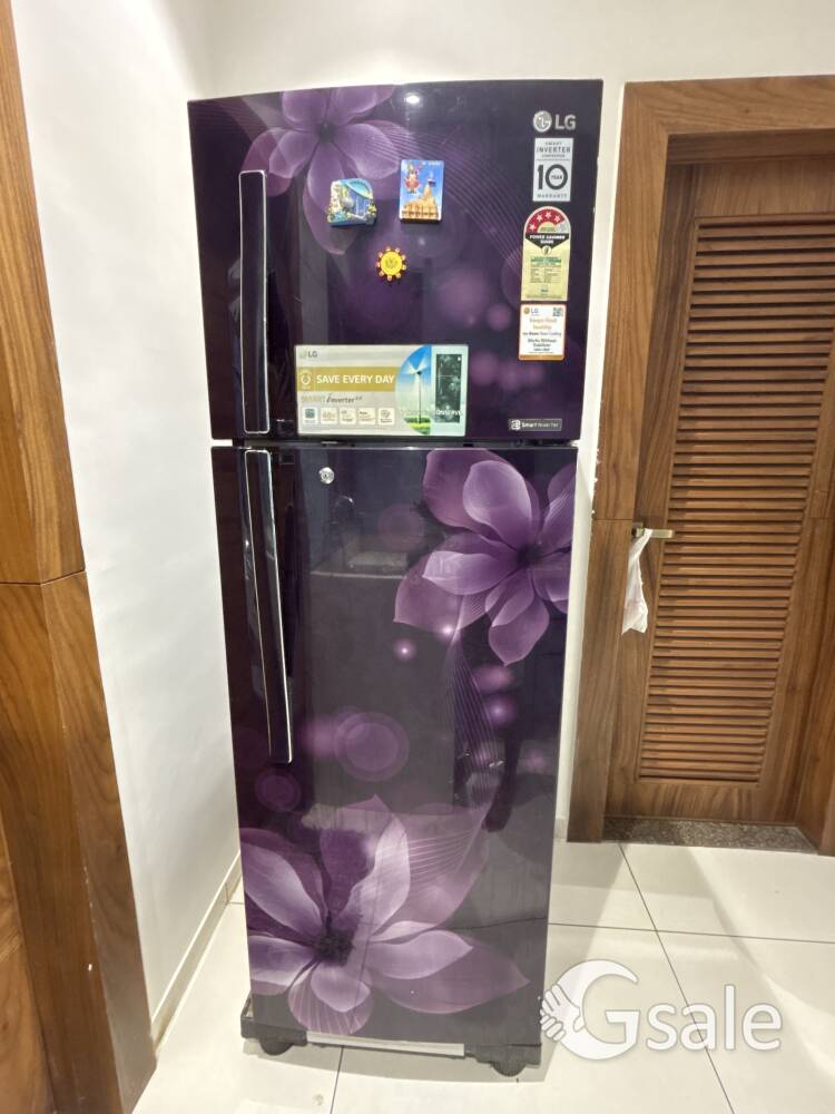 Double Door 283 litre LG refrigerator 