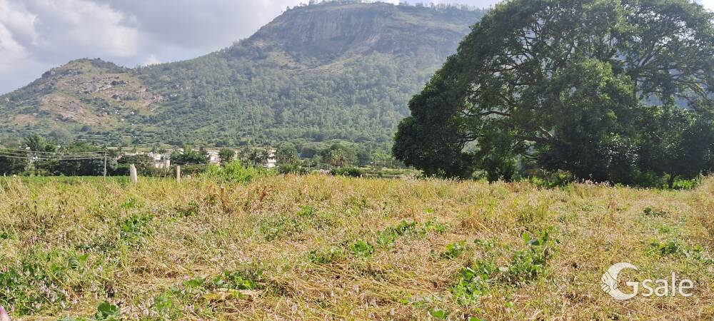 Commercial and non commercial near nandi hills 