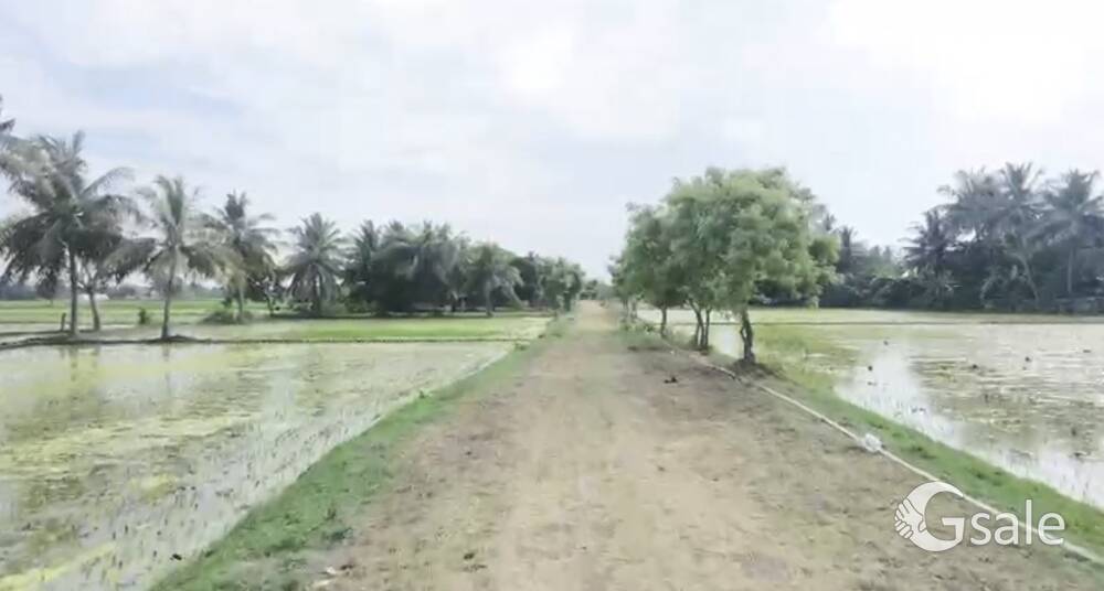 Low budget farm land urgent sale🌴