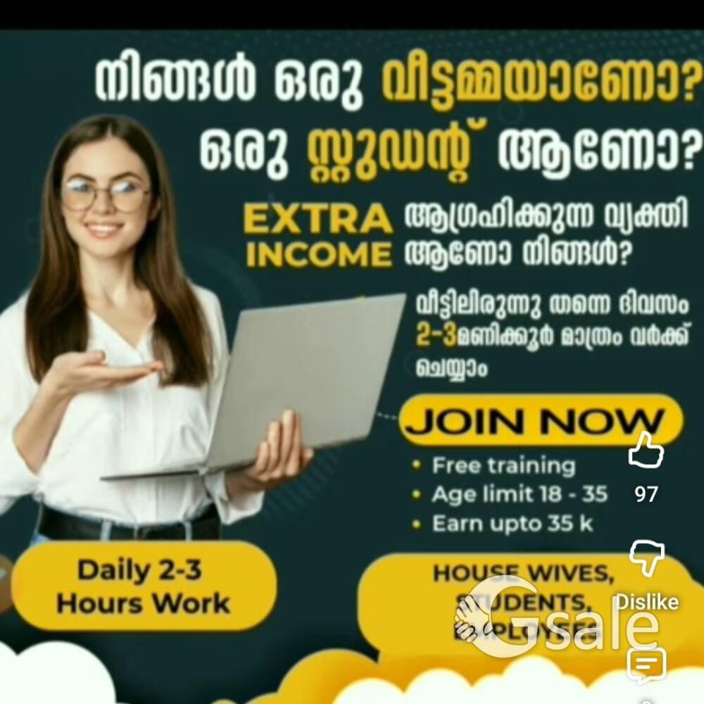 online job vacancy. daily 2-3hrs duty per day